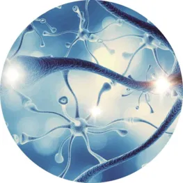 Nervous system accidents