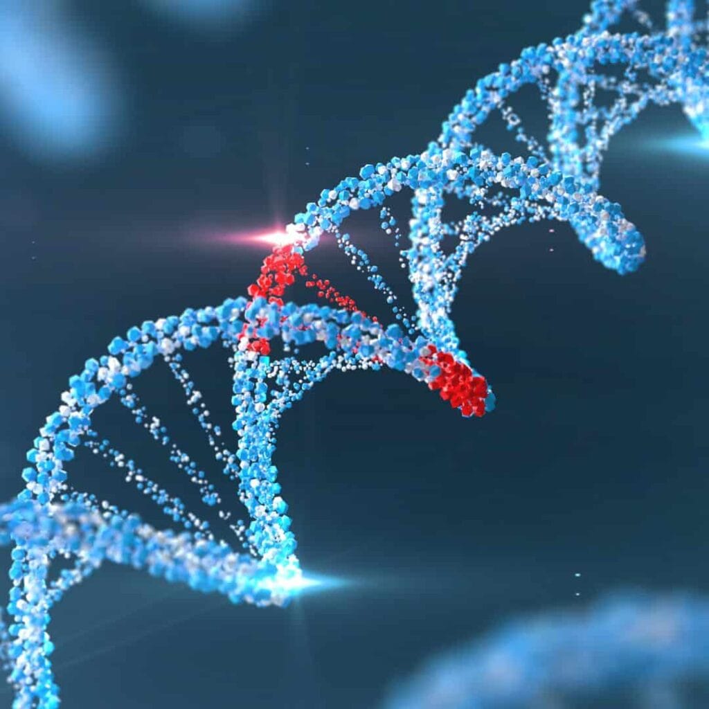 Epigenetic Test