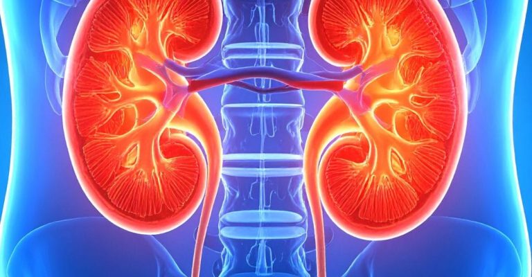Kidney treatment